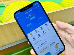 深入解析微信分付：用户使用指南与风险控制