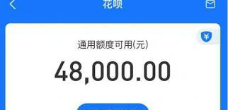 如何关闭花呗：全面解析流程与注意事项
