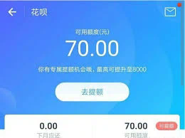 花呗怎么套,蚂蚁花呗怎么提现出来，总结分享7个方法（花呗提现攻略：7种方法全面解析）